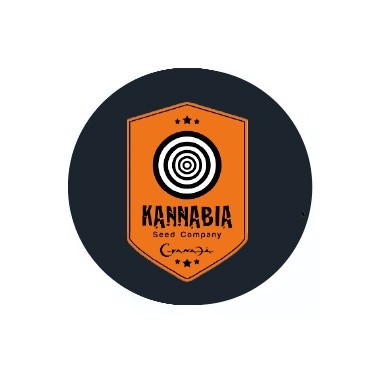 Kannabia Seed Company auto